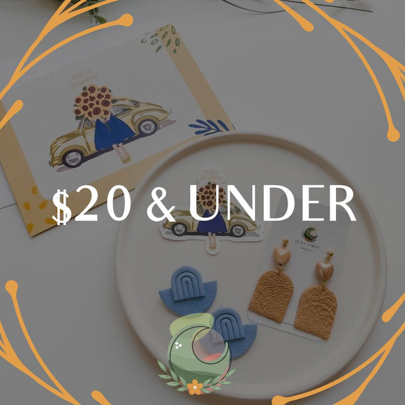 $20 & Under