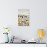 White Flowers | Canvas Gallery Wraps