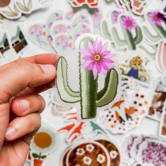 That Cute Cactus | Clear Sticker